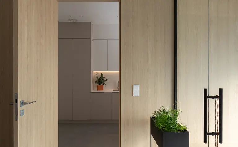 Minimalistyczny przedpokój w stylu japandi z drewnianymi meblami i roślinami.