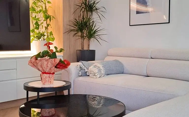 Nowoczesne wnętrze salonu z jasną sofą, czarnym stolikiem i roślinami w doniczkach.