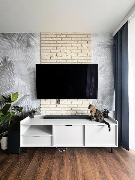 Wnętrze z telewizorem na białej szafce, minimalistyczny styl, rośliny