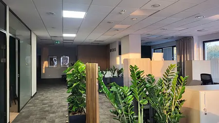 Wnętrze biura z nowoczesnym designem, roślinami i jasnymi meblami.