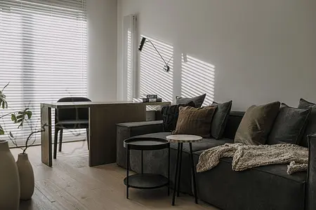 Wnętrze salonu z jasnymi poduszkami, białymi dekoracjami i roślinami w wazonie.