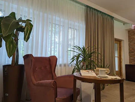 Wnętrze salonu z fotelem, roślinami i zasłonami w stylu boho, eklektycznym, rustykalnym, skandynawskim.