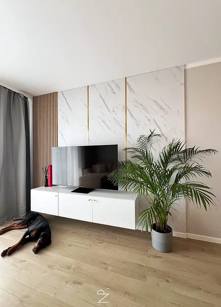 Wnętrze współczesnego salonu z minimalistycznym wystrojem, zieloną rośliną.