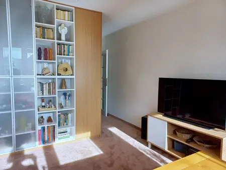 Wnętrze nowoczesnego salonu w stylu soft minimalizm z regałem i telewizorem.