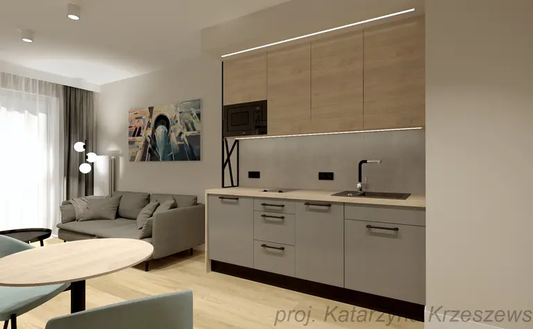 Wnętrze kuchni w stylu industrialnym, minimalistycznym, współczesnym z szarymi meblami.