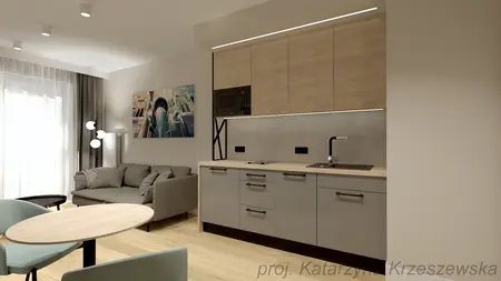 Wnętrze kuchni w stylu industrialnym, minimalistycznym, współczesnym z szarymi meblami.