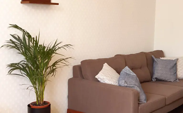 Wnętrze salonu w stylu tradycyjnym z brązową sofą, rośliną doniczkową i drewnianymi akcentami.