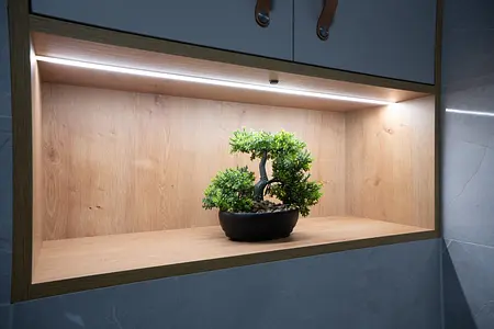Półka z bonsai na drewnianym tle, nowoczesne i industrialne wnętrze.