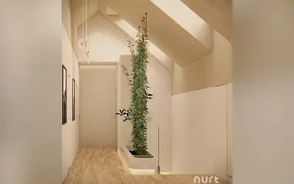 Korytarz organic flow