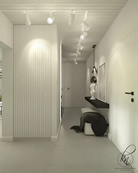 Przedpokój w stylu minimalistycznym z białymi ścianami i czarnymi detalami.