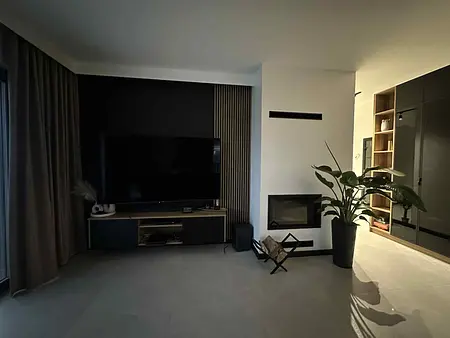 Wnętrze salonu z telewizorem, kominkiem i rośliną w stylu industrialnym i nowoczesnym.