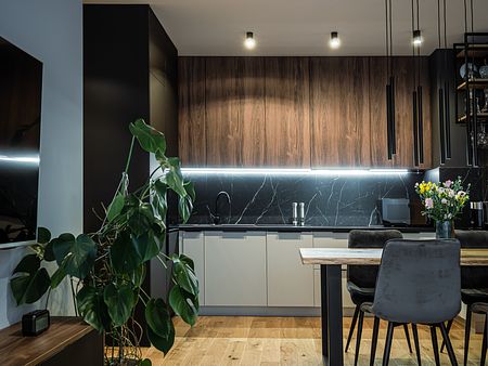 Ciemna paleta, przejrzysty plan