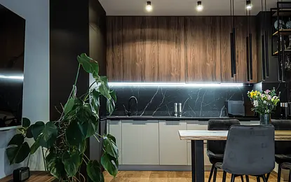 Ciemna paleta, przejrzysty plan