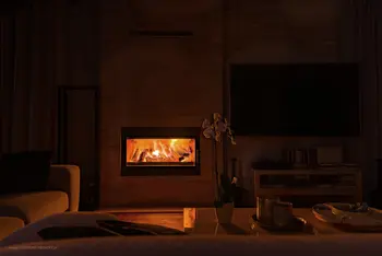 Wnętrze salonu z kominkiem, kwiatami i nowoczesnym wyposażeniem.
