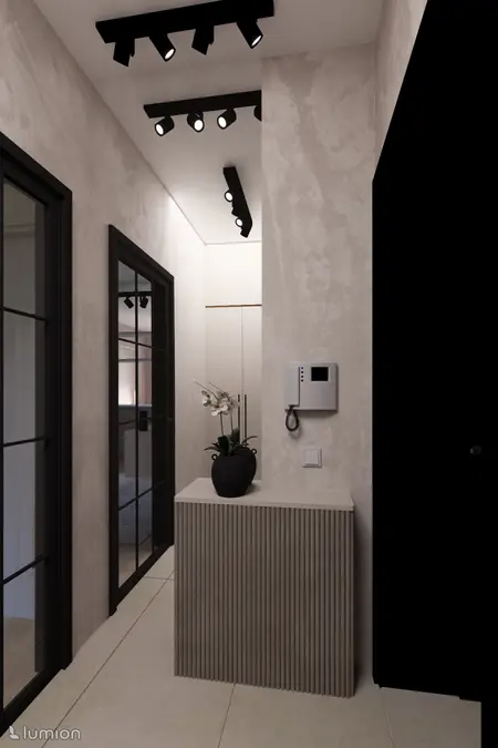 Przedpokój z minimalistycznym designem, współczesnym oświetleniem i rośliną