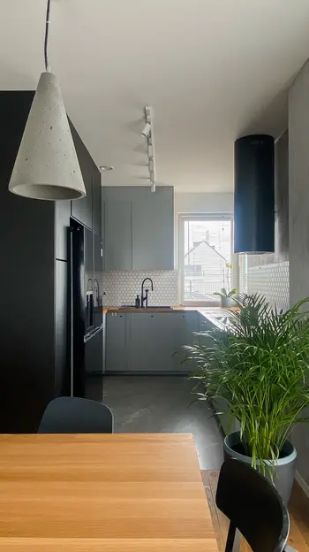 Kuchnia w stylu minimalistycznym z szarymi meblami, betonowym oświetleniem i rośliną.