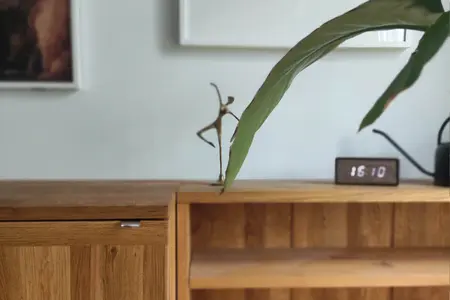 Stylowe wnętrze salonu w stylu boho, japandi i minimalistycznym z rośliną i drewnianymi meblami.