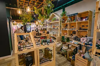 Wnętrze sklepu z naturalnymi kosmetykami i roślinami, styl boho.