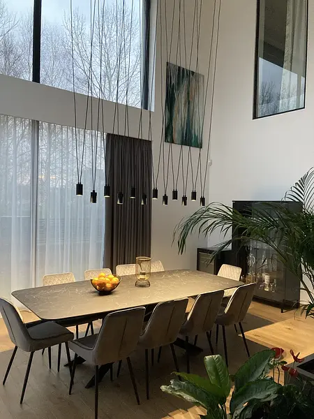 Wnętrze nowoczesnej jadalni z dużym stołem, roślinami i eleganckimi krzesłami.