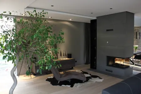 Nowoczesny salon z minimalistycznym wystrojem, rośliną i kominkiem.