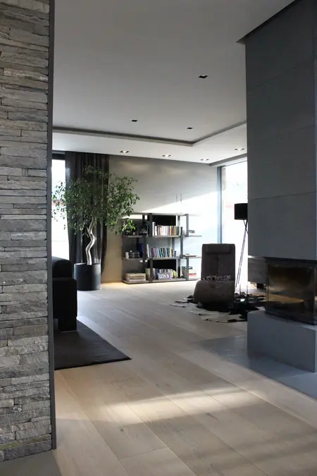 Wnętrze salonu z minimalistycznym designem, nowoczesnym kominkiem i roślinnością.
