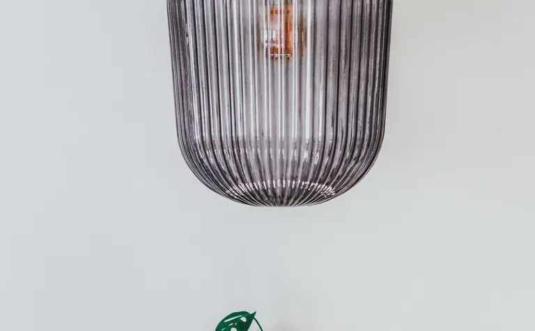 Lampa wisząca w eklektycznym wnętrzu z rośliną, nowoczesny design.