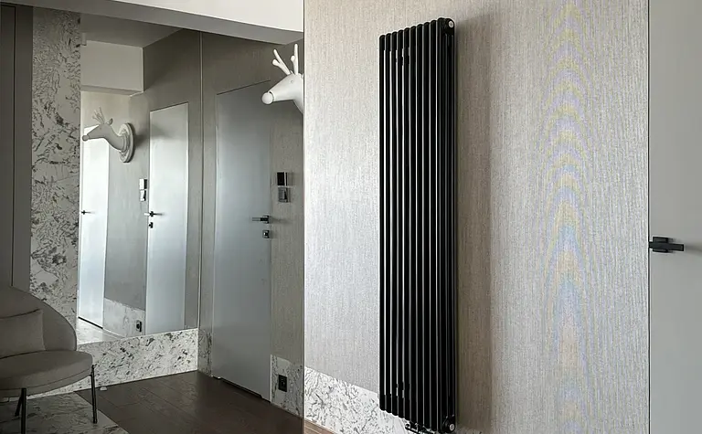 Przedpokój z nowoczesnymi lustrami i czarnym grzejnikiem na tle jasnych ścian.