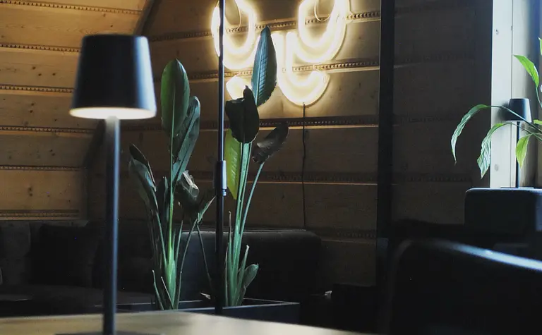 Wnętrze z drewnianymi elementami, lampą i roślinami, styl industrialny, nowoczesny, współczesny.