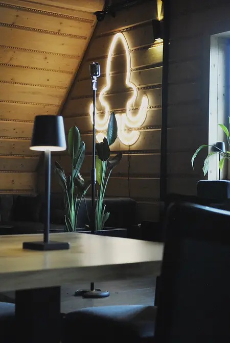 Wnętrze z drewnianymi elementami, lampą i roślinami, styl industrialny, nowoczesny, współczesny.