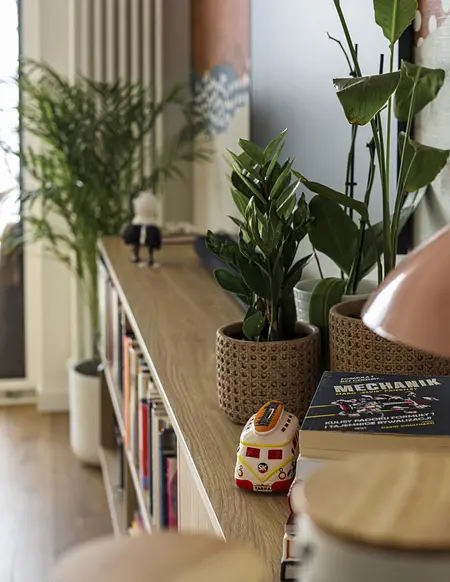 Wnętrze z boho i współczesnymi akcentami, półka z roślinami i książkami.
