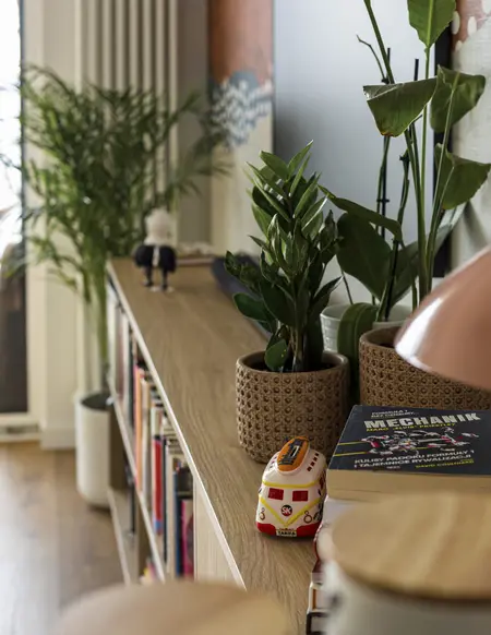 Wnętrze z boho i współczesnymi akcentami, półka z roślinami i książkami.