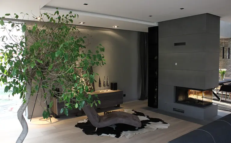 Nowoczesny salon z minimalistycznym wystrojem, rośliną i kominkiem.