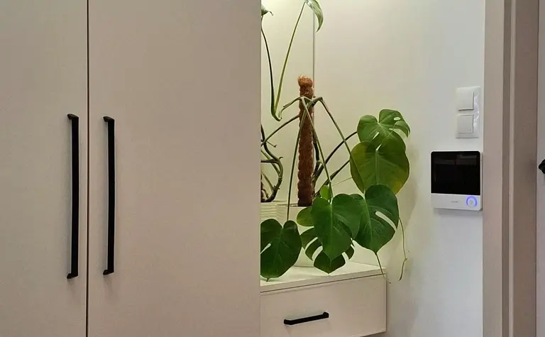 Garderoba z białymi meblami, lustrem i zieloną rośliną