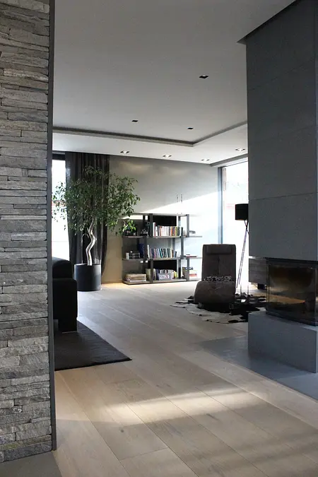 Wnętrze salonu z minimalistycznym designem, nowoczesnym kominkiem i roślinnością.